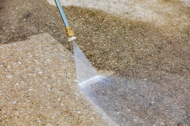 Best Dumpster Area Cleaning  in Holden Heights, FL