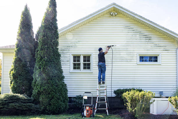 Solar Panel Cleaning in Holden Heights, FL